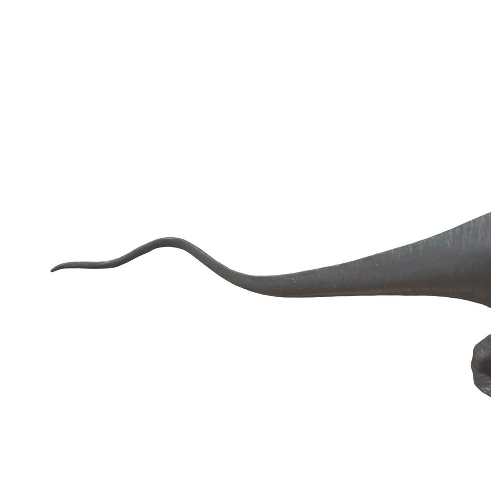 Vintage Diplodocus - British Natural History Museum - 1974 - Picture 6 of 12